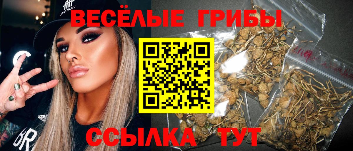 Галлюциногенные грибы Psilocybine cubensis  Вход с VPN  Йошкар-Ола  Псилоцибиновые грибы мухоморы 